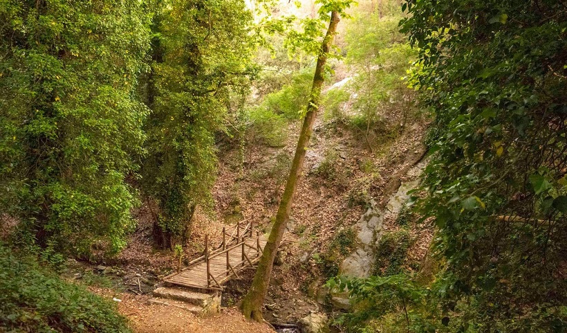 Forest Of Seich Sou Zeus Is Loose Zeus Is Loose Hostel In forest-of-seich-sou-zeus-is-loose-zeus-is-loose-hostel-in