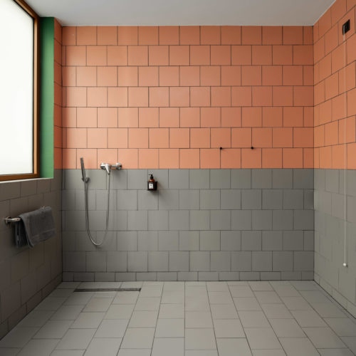 Disability Room Shower